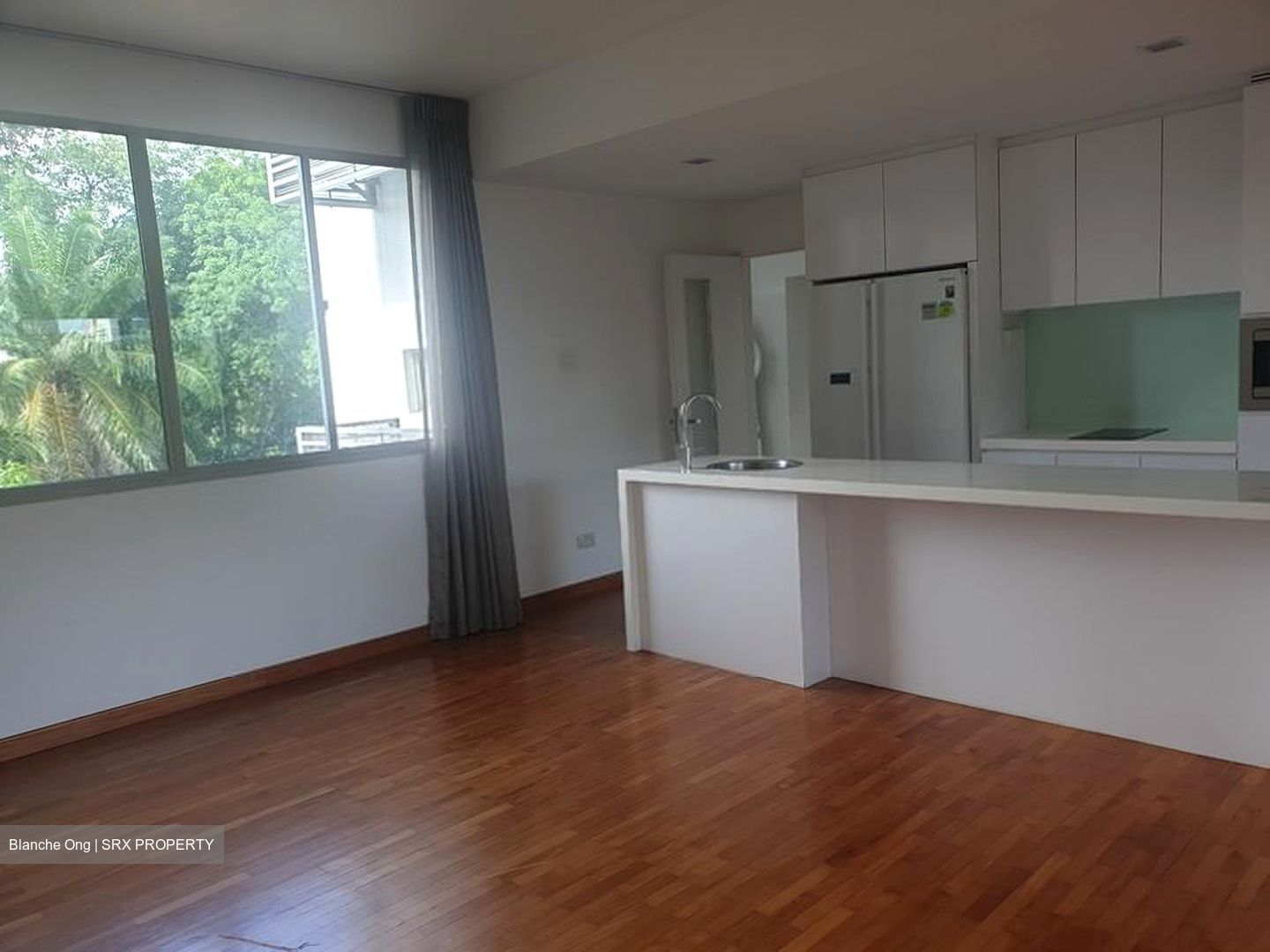 Nassim Regency (D10), Condominium #509218711